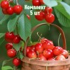 Комплект 5шт / Черешня Голубушка